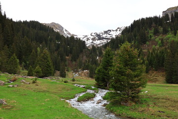 The Chésery pass is a small pass of France located in the Alps, in the Chablais massif, at 1,992 metres altitude1, above Montriond in Haute-Savoie 