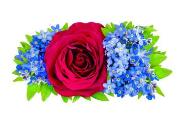Rote Rose und Vergissmeinnicht Blumen Hintergrund transparent PNG cut out