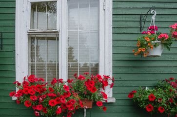 the window is decorated with flowers in a pot