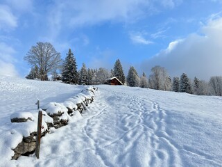 Wonderful winter hiking trails and traces over the Lake Walen or Lake Walenstadt (Walensee) and in the fresh alpine snow cover of the Swiss Alps, Amden - Canton of St. Gallen, Switzerland (Schweiz)