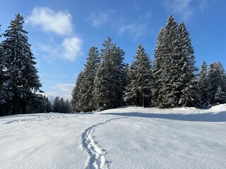 Wonderful winter hiking trails and traces over the Lake Walen or Lake Walenstadt (Walensee) and in the fresh alpine snow cover of the Swiss Alps, Amden - Canton of St. Gallen, Switzerland (Schweiz)