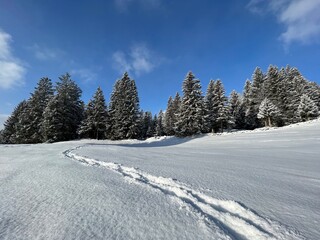 Obraz premium Wonderful winter hiking trails and traces over the Lake Walen or Lake Walenstadt (Walensee) and in the fresh alpine snow cover of the Swiss Alps, Amden - Canton of St. Gallen, Switzerland (Schweiz)