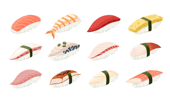 Japanese nigiri sushi vector set. Different types of sushi isolated on white background. Asian food.
