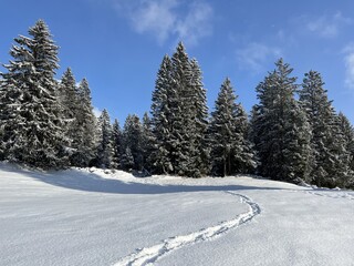 Wonderful winter hiking trails and traces over the Lake Walen or Lake Walenstadt (Walensee) and in the fresh alpine snow cover of the Swiss Alps, Amden - Canton of St. Gallen, Switzerland (Schweiz)