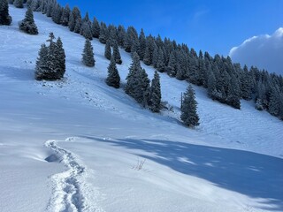 Wonderful winter hiking trails and traces over the Lake Walen or Lake Walenstadt (Walensee) and in the fresh alpine snow cover of the Swiss Alps, Amden - Canton of St. Gallen, Switzerland (Schweiz)