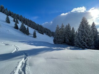 Wonderful winter hiking trails and traces over the Lake Walen or Lake Walenstadt (Walensee) and in the fresh alpine snow cover of the Swiss Alps, Amden - Canton of St. Gallen, Switzerland (Schweiz)