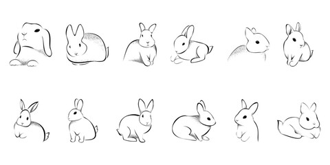 Silhouettes of rabbits in different poses, vector, line