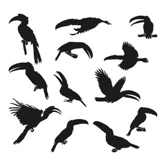 Set of hornbill bird animal silhouettes various styles
