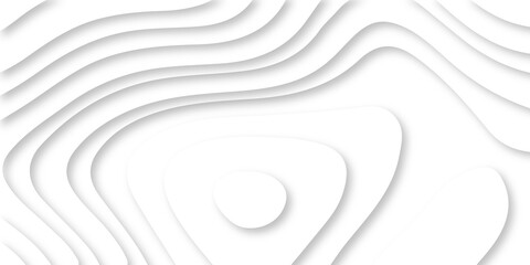 Abstract Luxury paper cut background, Abstract decoration, white pattern lines gradients, 3d Vector illustration, topographic canyon map light relief texture, curved layers.