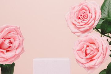 Empty podium with pink rose flowers closeup on pink background. Cute background for design and...