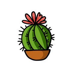 Hand drawn cactus with flower in the pot isolated on white background.