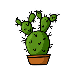 Hand drawn cactus in the pot isolated on white background.