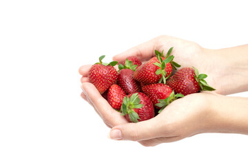 Handful of fresh organic strawberries