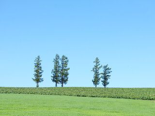 日本北海道風景