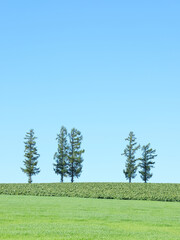 日本北海道風景