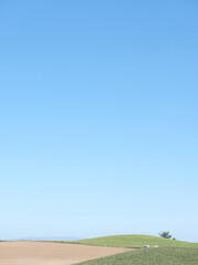 日本北海道風景