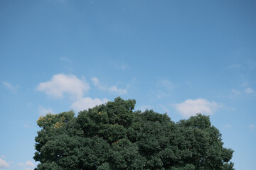 日本風景シンプル