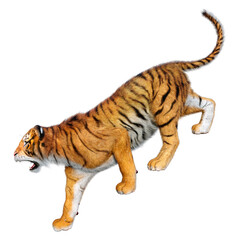 3D Rendering Big Cat Tiger on White