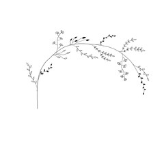 Minimal Line Wreath Illustration