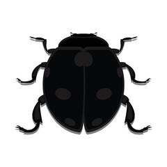 illustration vector graphic of lady bugs