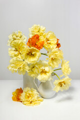 Yellow and orange hybrid tulips in a white vase on a white table.