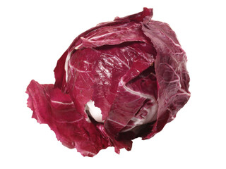 Radicchio Salad - Transparent PNG Background