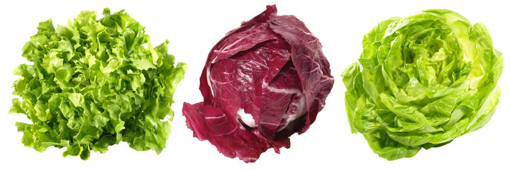Various Lettuce - Salad PNG Transparent Background - obrazy, fototapety, plakaty