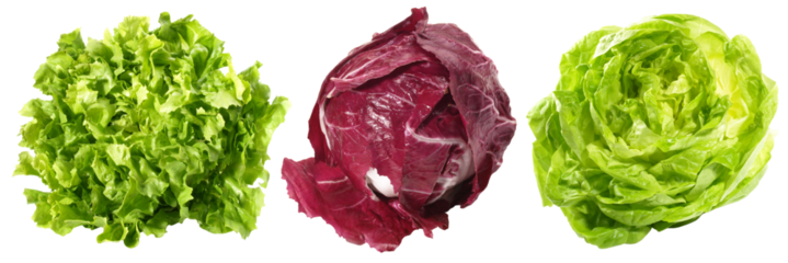 Various Lettuce - Salad PNG Transparent Background