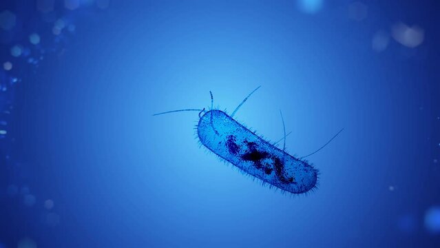 Bacterial outbreak, bacterial infection, bacteria cell, Scientific bacteria image, microscopic blue bacteria, bacteria under microscope, antibiotic resistant 4k