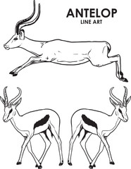 Set of hand draw vintage antelope premium vector - obrazy, fototapety, plakaty