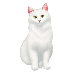 white cat drawn digital painting watercolor illustration