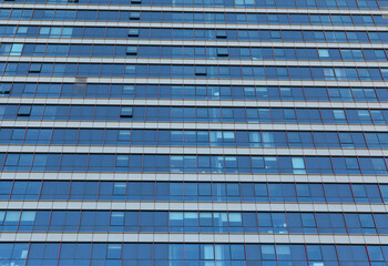 Life in the metropolis