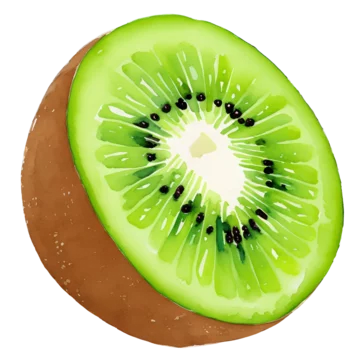 kiwi fruit drawn digital painting watercolor illustration Stock Vector