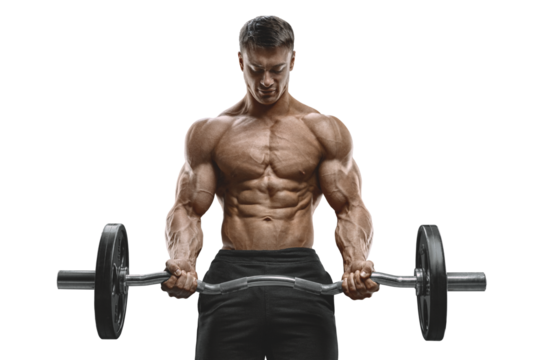 Strong man. Bodybuilder pumping up biceps working out barbell. Transparent PNG barbell workout muscles body training weightlifting - Powered by Adobe