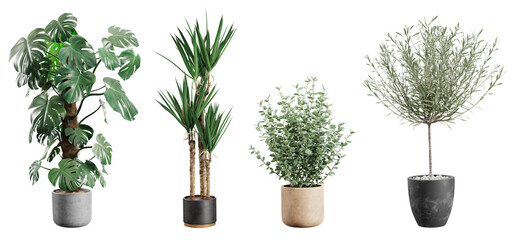 Fototapeta premium Beautiful plants in ceramic pots isolated on transparent background. 3D rendering. 3D illustration.