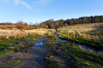Muddy, rock strewn path beside Burbage Brook