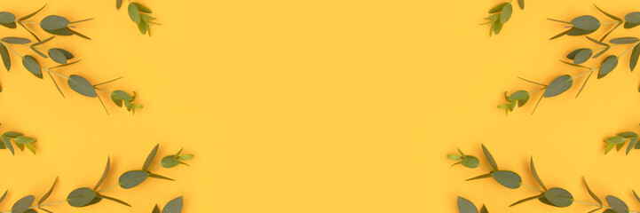 Banner with frame made of eucalyptus branches on a yellow background. Selective focus. Place for text. © rorygezfresh
