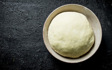 Fresh dough in bowl.