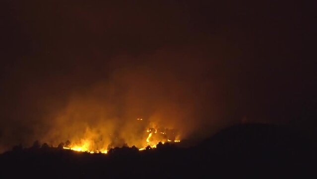 Amazon forest fire disater problem.Fire burns trees in the mountain at night