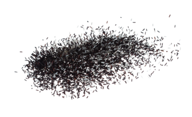 Riceberry mix white rice explosion flying, black purple berry grain wave floating, fall down in air. RiceBerry mix white rice is organic healthy food. White background Isolated high speed shutter