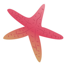 Fototapeta premium starfish isolated on transparency background