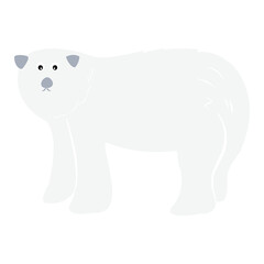 white bear isolated on transparency background