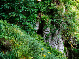Entrance to the cave in the park of waterfalls 