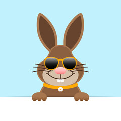 Obraz premium Osterhase Sonnenbrille Banner Horizontal Himmel