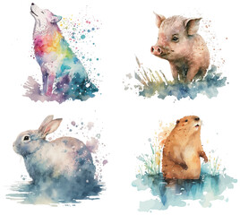 Safari Animal set wolf, pig, hare, beaver in watercolor style. Isolated vector illustration - obrazy, fototapety, plakaty