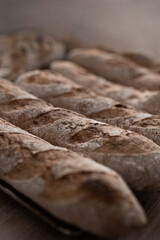 Pan Baguette de masa madre 