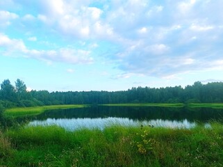 lake in the forest