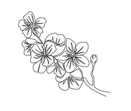 Continuous one line drawing of cherry blossom. Simple flower blossom line art vector illustration.