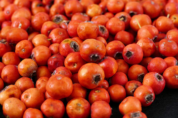 close-up medicinal hawthorn berry,fruits of hawthorn tree,red natural hawthorn,