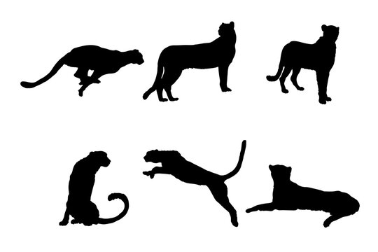 Set of silhouettes of cheetah vector design